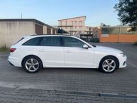 gebraucht Audi A4 Avant 40 TDI quattro advanced