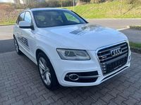 Gebraucht Audi SQ5 313 PS (230 kW) 2013 Ibisweiß SUV
