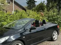 Gebraucht Peugeot 307 CC Platinum 177 PS (130 kW) 2008 Schwarz Cabrio