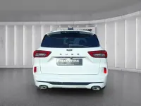 Gebraucht Ford Kuga ST-Line X 186 PS (136 kW) 2024 Weiss SUV