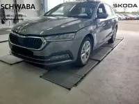 Gebraucht Skoda Octavia Style 150 PS (110 kW) 2023 Grau Kombi