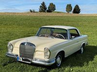Gebraucht Mercedes 250 SE 150 PS (110 kW) 1966 Weiß Coupé