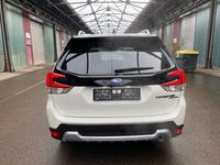 Gebraucht Subaru Forester Comfort 150 PS (110 kW) 2024 Weiß SUV