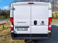 Gebraucht Fiat Ducato 120 PS (88 kW) 2021 Weiß Van