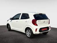 Gebraucht Kia Picanto Vision 67 PS (49 kW) 2024 Weiss ((ud) schneeweiss) Kleinwagen