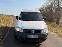 Second-hand VW Caddy 69 CP (50 kW) 2005 Alb Monovolum