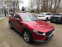 Gebraucht Mazda CX-30 122 PS (89 kW) 2023 Soul red crystal SUV
