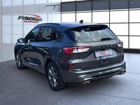 Gebraucht Ford Kuga ST-Line 150 PS (110 kW) 2023 Grau SUV