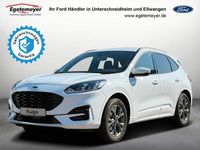 Gebraucht Ford Kuga ST-Line 152 PS (111 kW) 2022 Weiß SUV