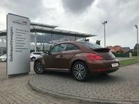 Gebraucht VW Beetle Allstar 150 PS (110 kW) 2016 Andere farbe metallic Kleinwagen