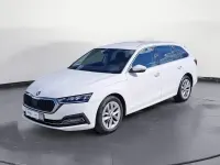 Gebraucht Skoda Octavia Style 116 PS (85 kW) 2023 Candyweiß Kombi