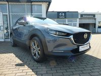 Gebraucht Mazda CX-30 Selection 186 PS (136 kW) 2022 Grau SUV