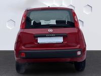 Gebraucht Fiat Panda 69 PS (50 kW) 2015 Rot Kleinwagen