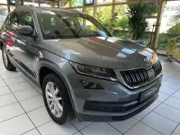 Gebraucht Skoda Kodiaq Ambition 150 PS (110 kW) 2019 Andere SUV