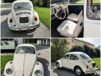 Gebraucht VW Käfer 41 PS (30 kW) 1971 Limousine
