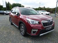 Gebraucht Subaru Forester Active 150 PS (110 kW) 2021 Rot SUV