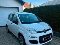 Gebraucht Fiat Panda 70 PS (51 kW) 2021 Weiß Kleinwagen