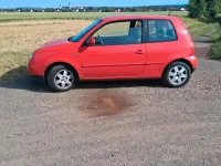 Gebraucht VW Lupo 75 PS (55 kW) 1999 Rot Kleinwagen