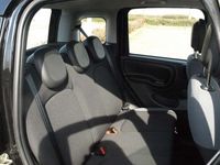 gebraucht Fiat Panda Panda1.2 Easy