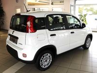 gebraucht Fiat Panda Hybrid 1,0 GSE / Klima, Servo, Radio, FH, ZV