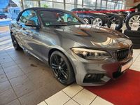 gebraucht BMW 230 i Cabrio M Sport Leder Navi Hifi PDC Shadow