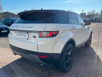 Gebraucht Land Rover Range Rover evoque SE 150 PS (110 kW) 2016 Weiß SUV