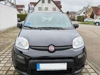 Gebraucht Fiat Panda 69 PS (50 kW) 2022 Schwarz Kleinwagen