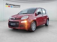 Neu Fiat Panda Pop 69 PS (50 kW) 2026 Rot Kleinwagen