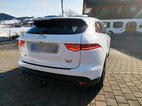 Second-hand Jaguar F-Pace 182 CP (133 kW) 2017 Alb SUV