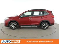 Gebraucht Subaru Forester Trend 150 PS (110 kW) 2020 Rot SUV