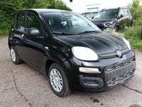Neu Fiat Panda 69 PS (50 kW) 2025 Cinema schwarz Kleinwagen