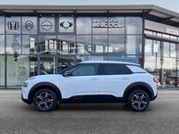 Gebraucht Citroën C4 Cactus 110 PS (80 kW) 2020 Weiss Kleinwagen