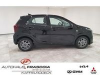 Neu Kia Picanto Vision 63 PS (46 kW) 2025 Schwarz Kleinwagen