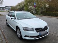 Gebraucht Skoda Superb 150 PS (110 kW) 2017 Weiß Kombi
