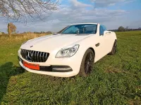 Gebraucht Mercedes SLK250 204 PS (150 kW) 2011 Weiß Cabrio