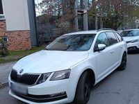 Gebraucht Skoda Octavia 116 PS (85 kW) 2017 Weiß Kombi