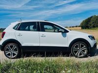 Gebraucht VW Polo 110 PS (80 kW) 2015 Weiß Kleinwagen