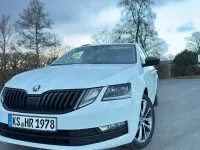 Gebraucht Skoda Octavia Drive 150 PS (110 kW) 2017 Weiß Kombi