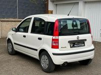 Occasion Fiat Panda Active 54 ch (39 kW) 2009 Blanc Citadine