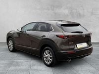 Gebraucht Mazda CX-30 Selection 179 PS (131 kW) 2020 Grau SUV