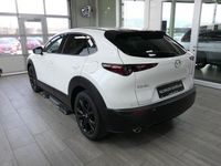 Neu Mazda CX-30 Homura-Line 140 PS (102 kW) 2026 Weiß SUV