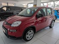 Gebraucht Fiat Panda 69 PS (50 kW) 2024 Rot Kleinwagen