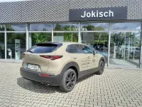 Gebraucht Mazda CX-30 Homura-Line 140 PS (102 kW) 2026 Gelb SUV