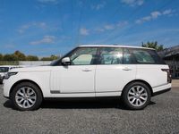 Gebraucht Land Rover Range Rover Vogue 258 PS (189 kW) 2014 Weiß SUV