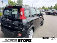 Gebraucht Fiat Panda 69 PS (50 kW) 2024 Colore esterno (cinema schwarz Kleinwagen