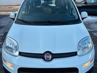 Gebraucht Fiat Panda 62 PS (45 kW) 2020 Weiß Kleinwagen