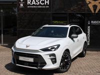 Gebraucht Cupra Terramar VZ 272 PS (200 kW) 2025 Weiß SUV