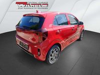 Neu Kia Picanto Vision 79 PS (58 kW) 2025 (beg) signalrotmet. Kleinwagen