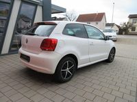 Gebraucht VW Polo Team 60 PS (44 kW) 2010 Weiß Kleinwagen
