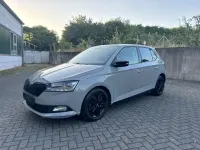 Gebraucht Skoda Fabia Monte Carlo 110 PS (80 kW) 2021 Grau Kleinwagen